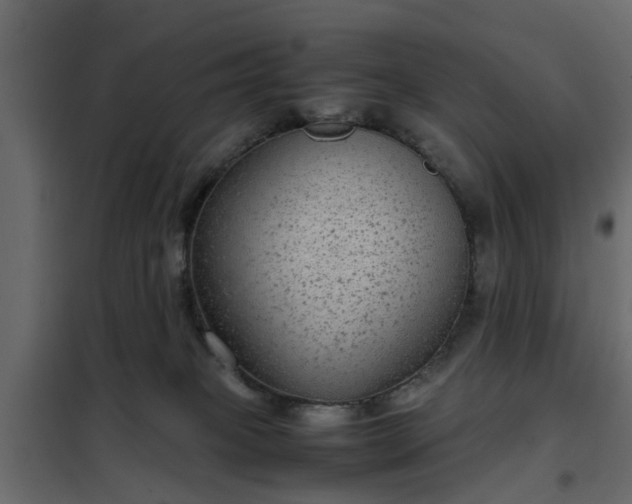 X0000102340085200808081141