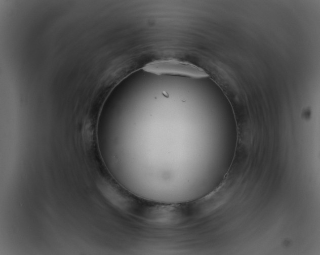 X0000102340086200808081141