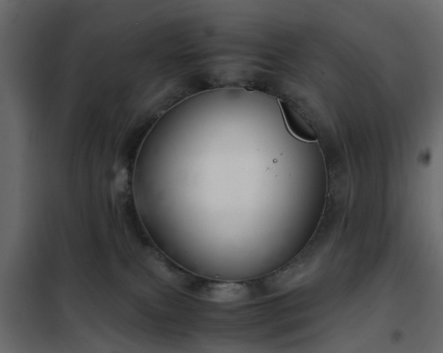 X0000102340087200808081141