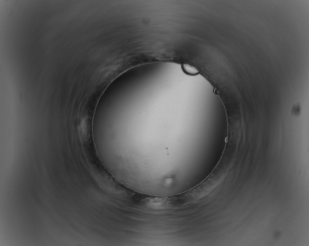 X0000102340088200808081141