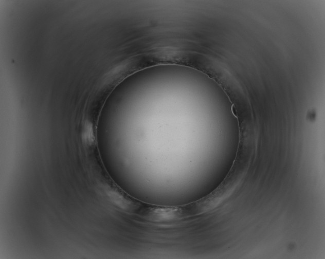 X0000102340089200808081141