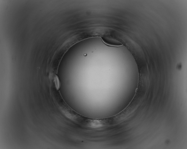 X0000102340091200808081141