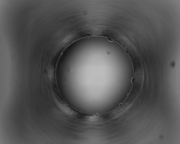 X0000102340092200808081141