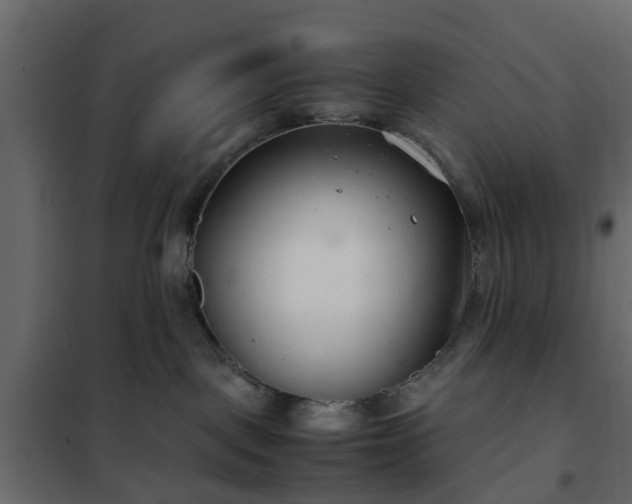 X0000102340093200808081141