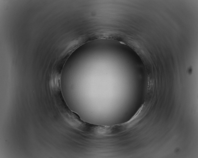 X0000102340094200808081141