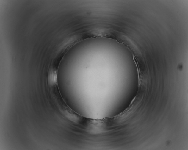 X0000102340095200808081141