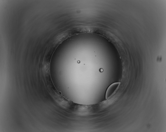 X0000102340096200808081141