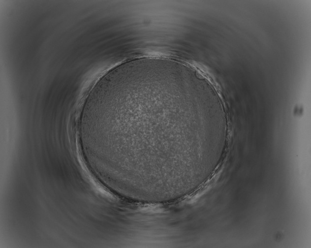 X0000102340097200808081140