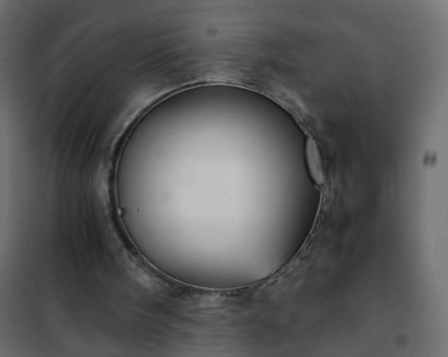 X0000102340098200808081140