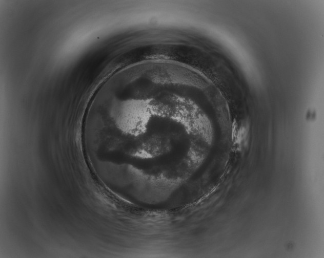 X0000102340099200808081140