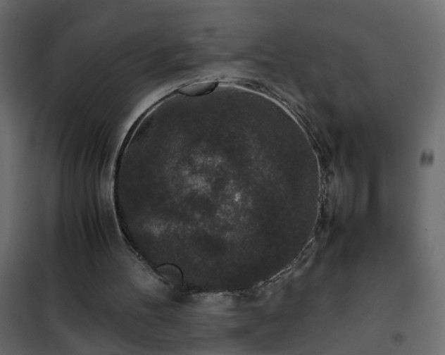 X0000102340100200808081140