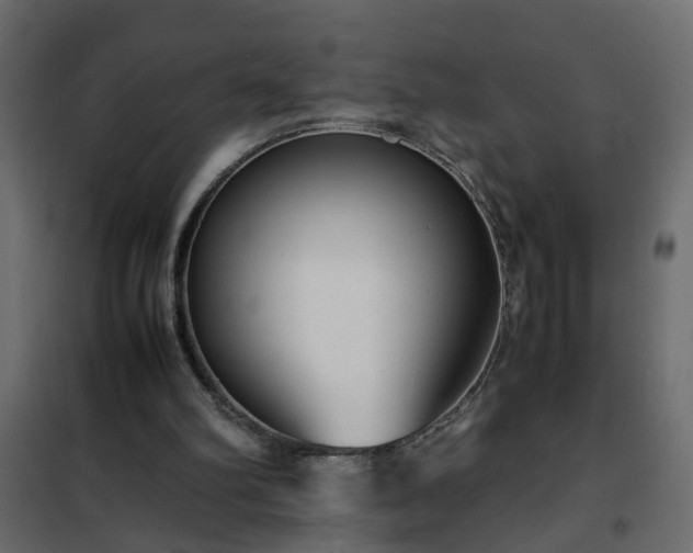 X0000102340102200808081140