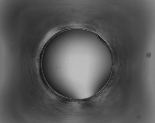 X0000102340103200808081140