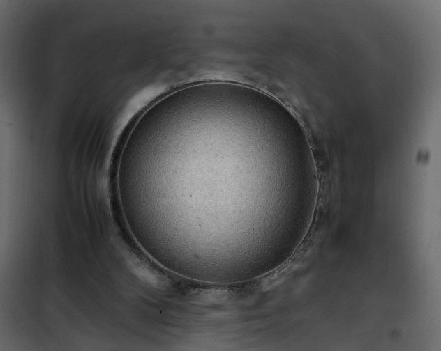 X0000102340104200808081140