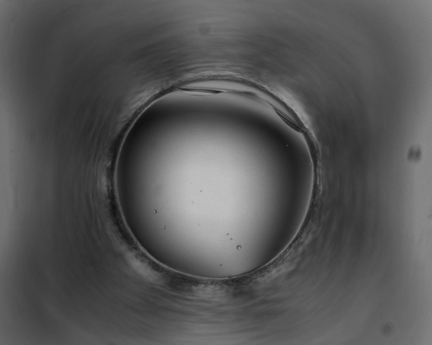 X0000102340105200808081140