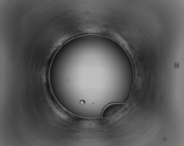 X0000102340106200808081140