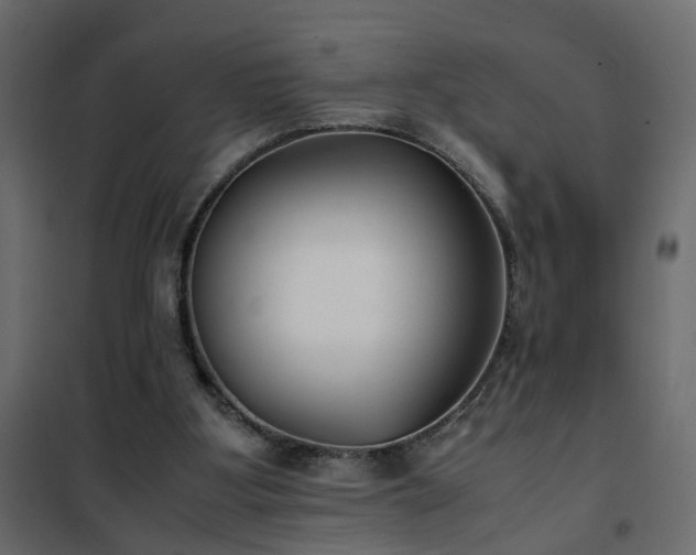 X0000102340107200808081140