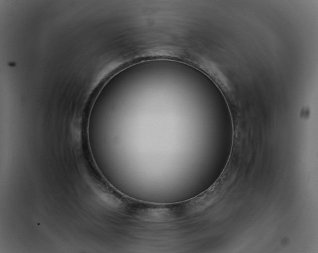 X0000102340108200808081140