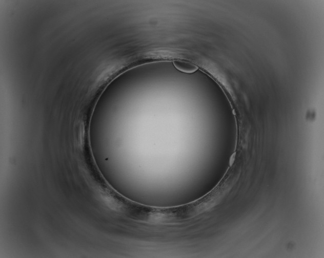 X0000102340109200808081140