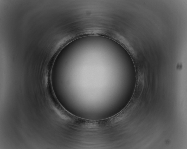 X0000102340110200808081140