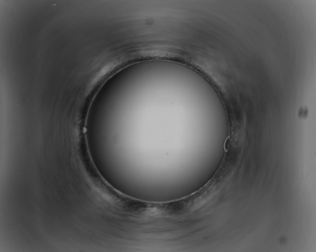 X0000102340111200808081140