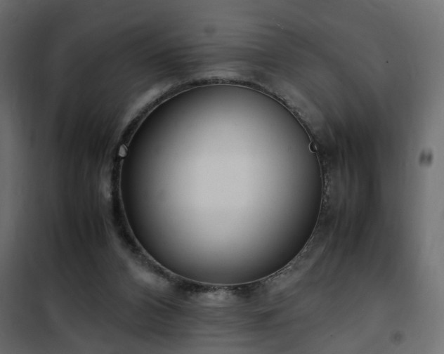 X0000102340112200808081140