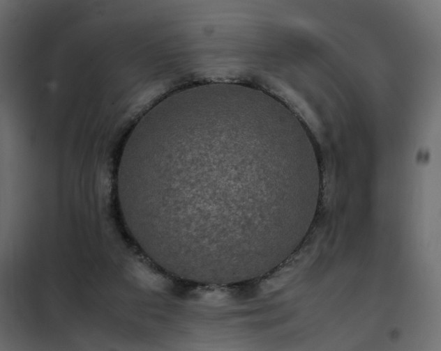 X0000102340113200808081140