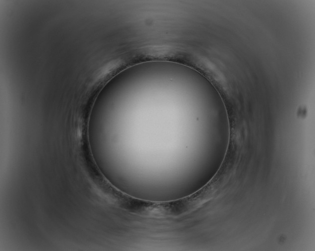 X0000102340115200808081140