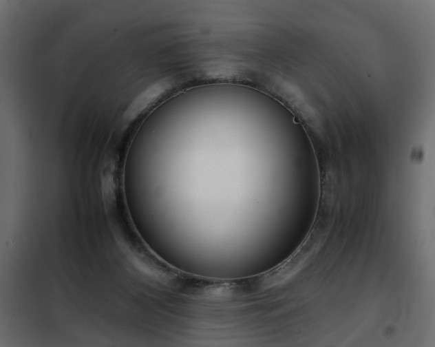 X0000102340116200808081140