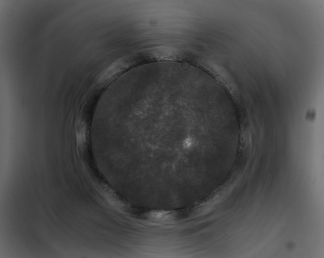 X0000102340117200808081140