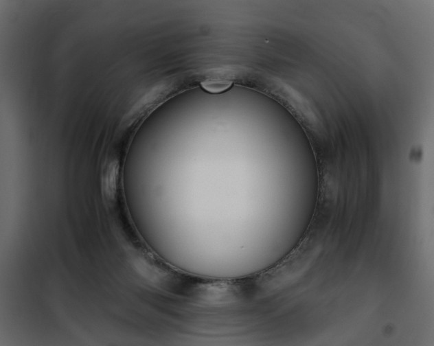 X0000102340118200808081140