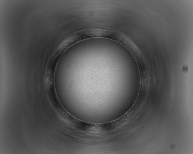 X0000102340119200808081140