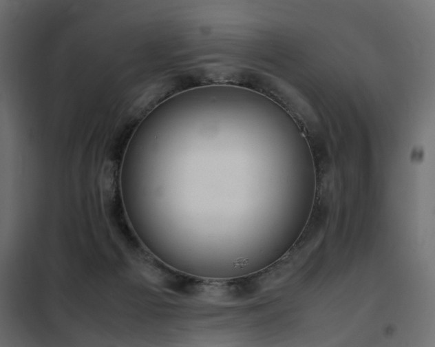 X0000102340121200808081140