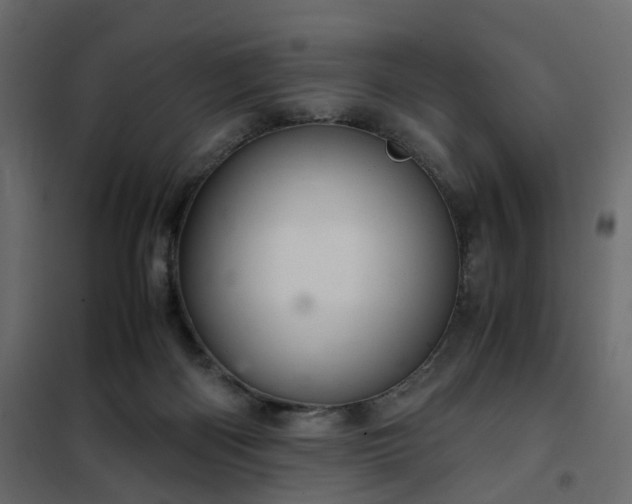 X0000102340122200808081140