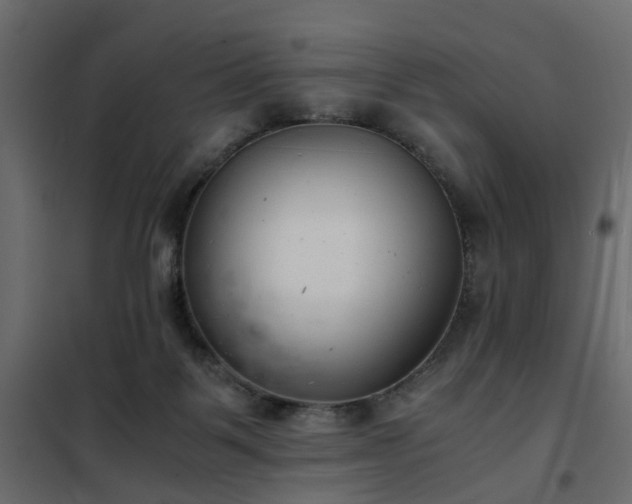 X0000102340123200808081140