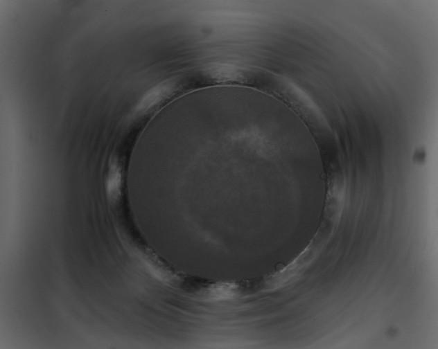 X0000102340124200808081140