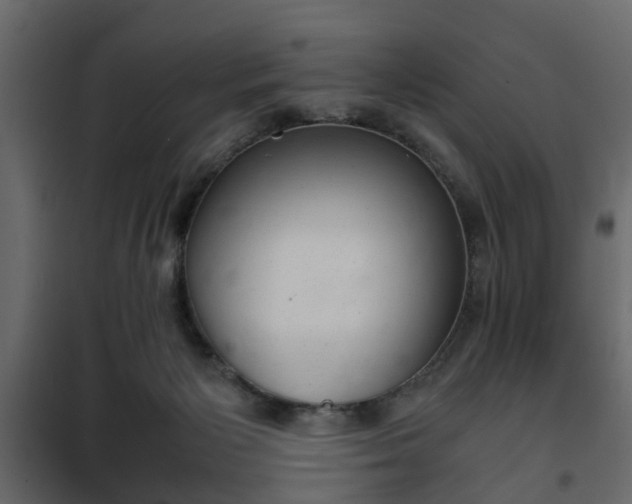 X0000102340125200808081140