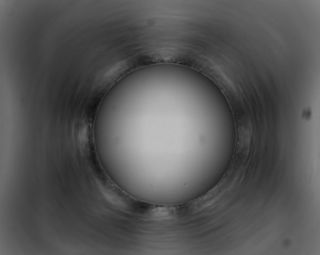 X0000102340126200808081140