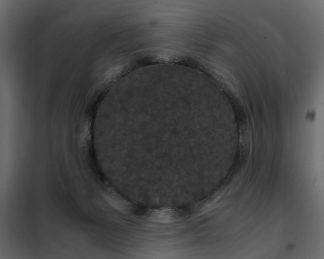 X0000102340127200808081140