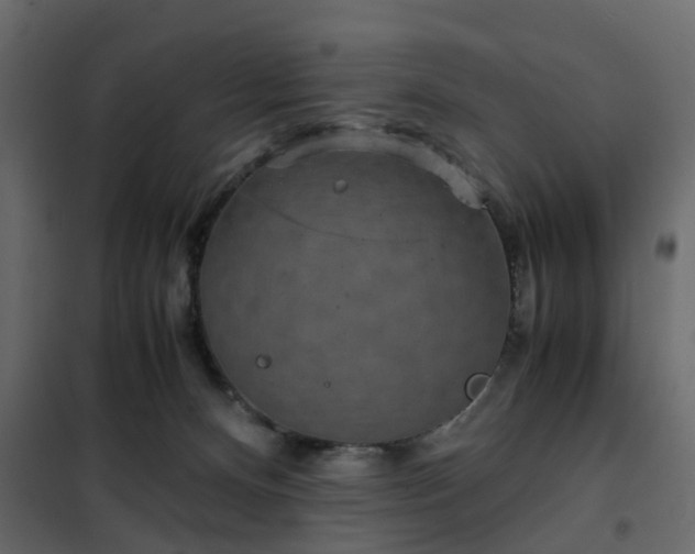 X0000102340128200808081140