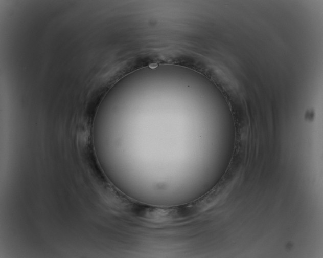 X0000102340129200808081140