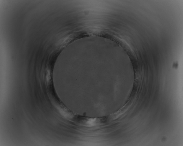 X0000102340130200808081140