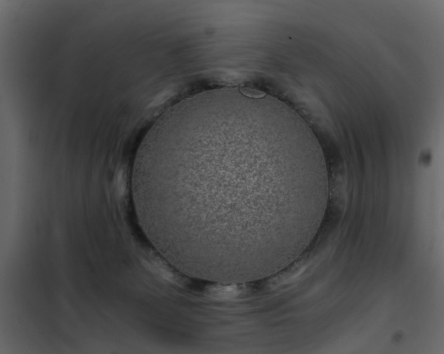 X0000102340131200808081140