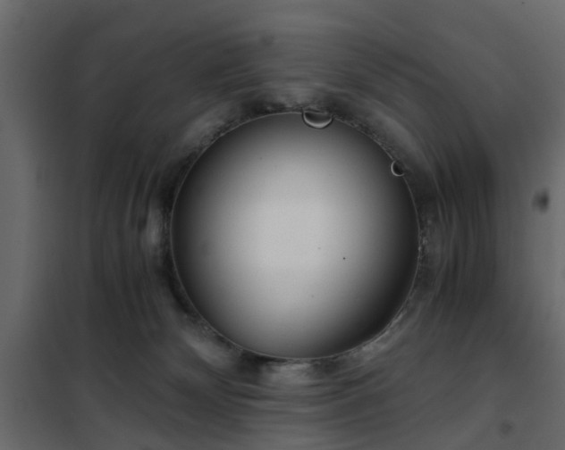 X0000102340132200808081140