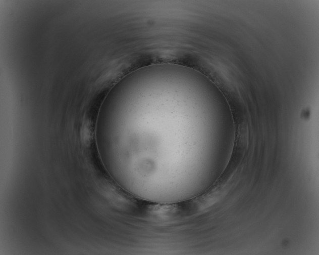 X0000102340135200808081140