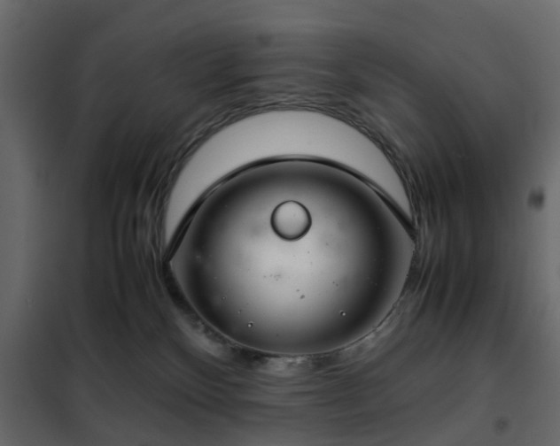 X0000102340136200808081140