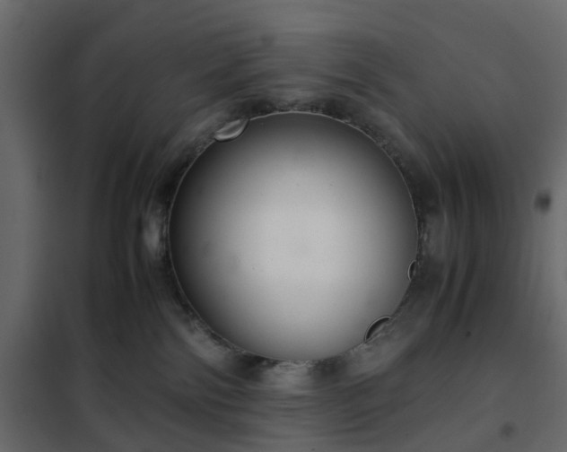 X0000102340138200808081140