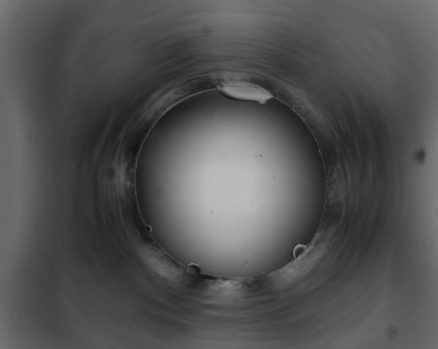 X0000102340140200808081140