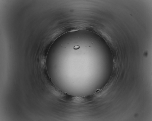 X0000102340141200808081140