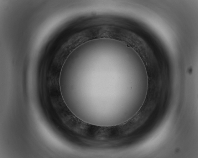 X0000102340142200808081140